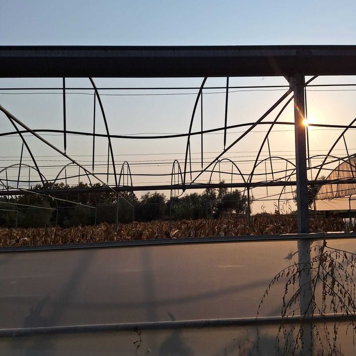 Estrutura metálica estufas usadas, em bom estado