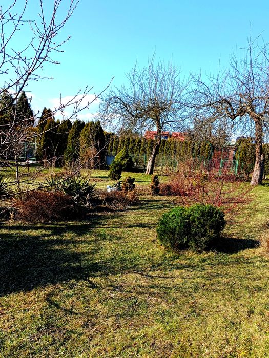 ROD Grudziądz / działka 377 m² domek/ prąd i woda/ - Więcej