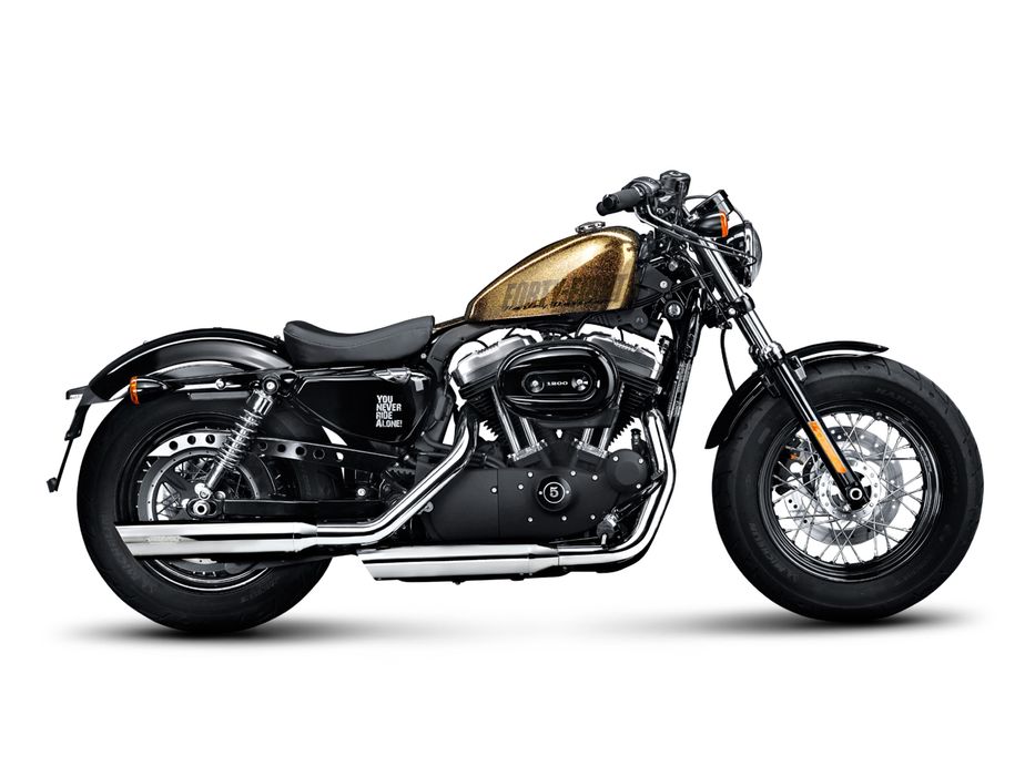 Escape completo Akrapovich Harley Davidson Sportster.