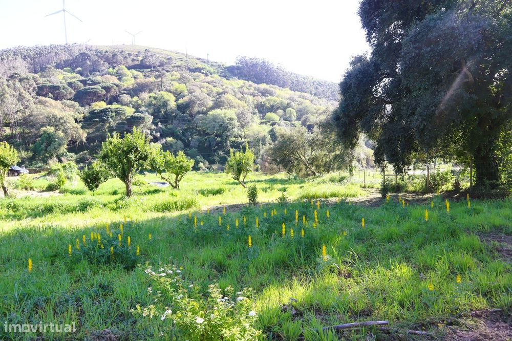 Moradia para renovar em Santo Estevão das Galés inserida num terreno d