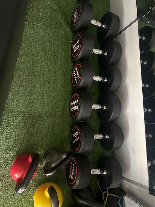 Set completo de halteres