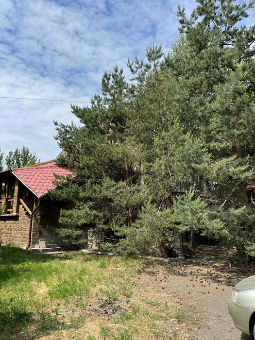 1.5 га комерційна нерухомість будівництво багатоквартирного будинку