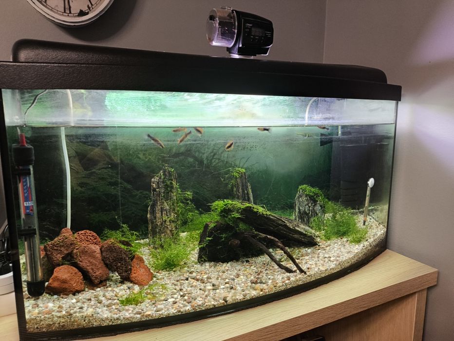 Akwarium 112l pełen zestaw