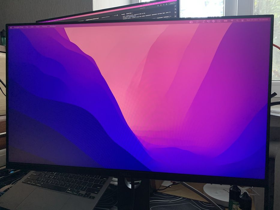 Монітор DELL P2419H