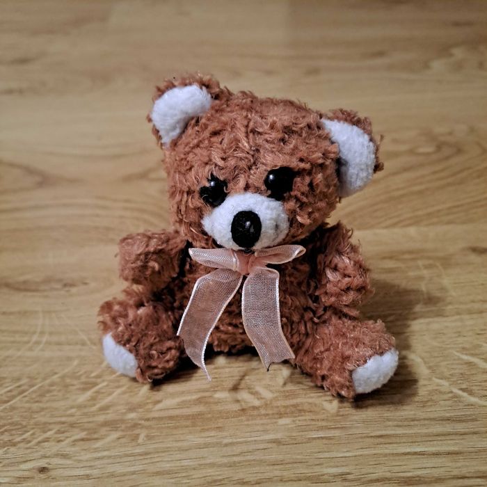 Pluszowy Mały Miś Przytulanka 9 cm