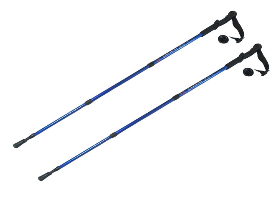 Палиці для скандинавської ходьбі