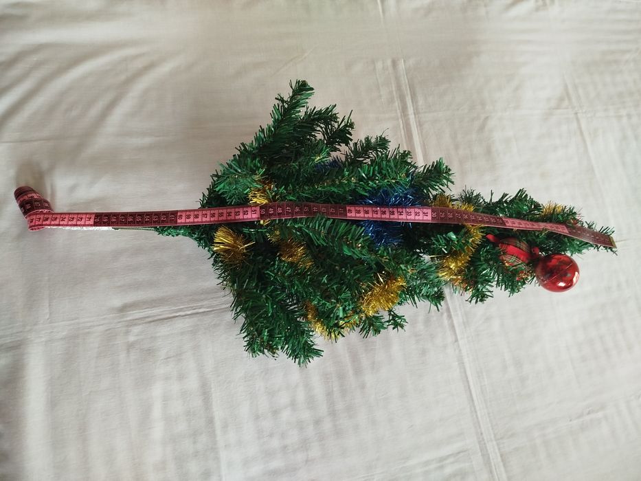 Pinheiro de natal