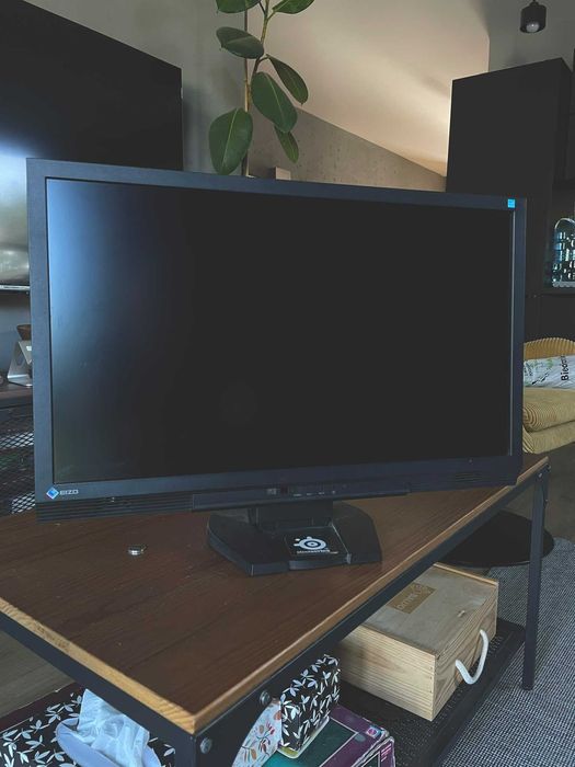 Monitor Eizo FS2333