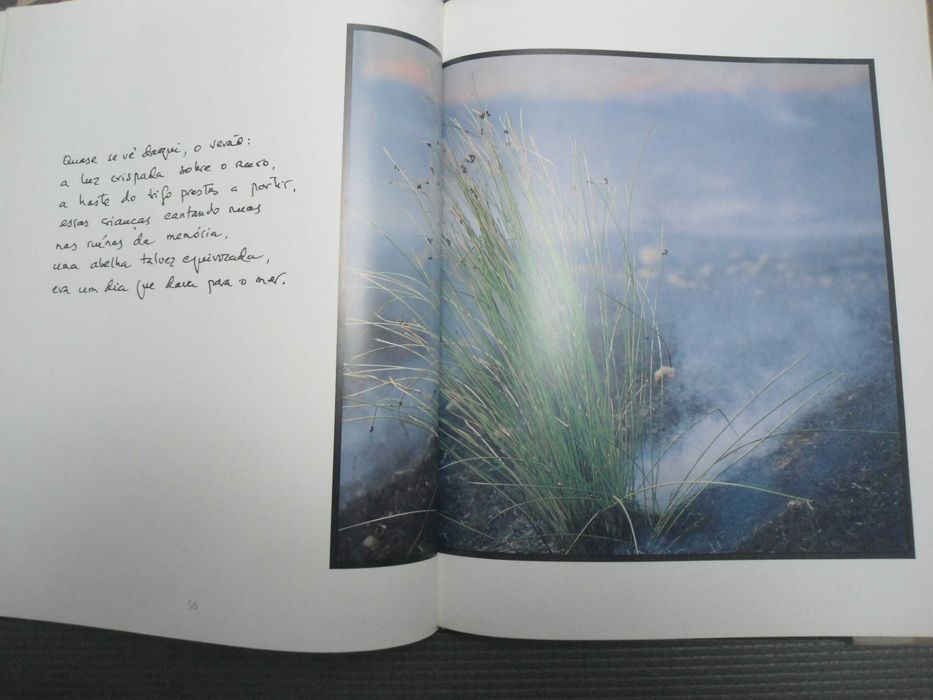 O Comum da terra por Eugénio de Andrade e Jorge Barros