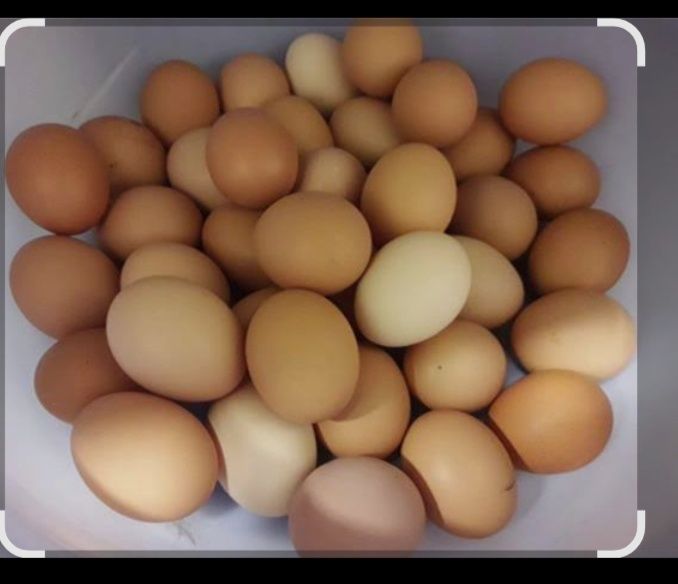 Ovos Caseiros ovos caseiros