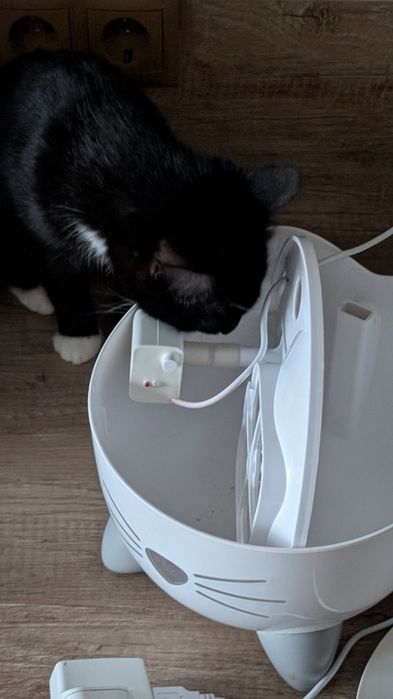 Фонтанчик для котів