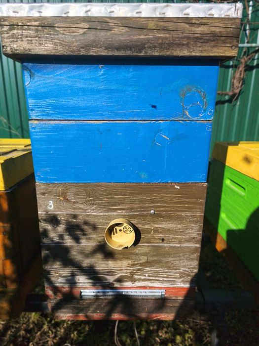 Продам вулик дадан 10 рамковий