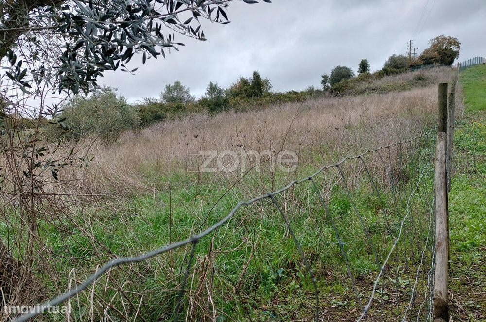 Terreno com cerca de 1600 m2, Fonte do Oleiro, Batalha
