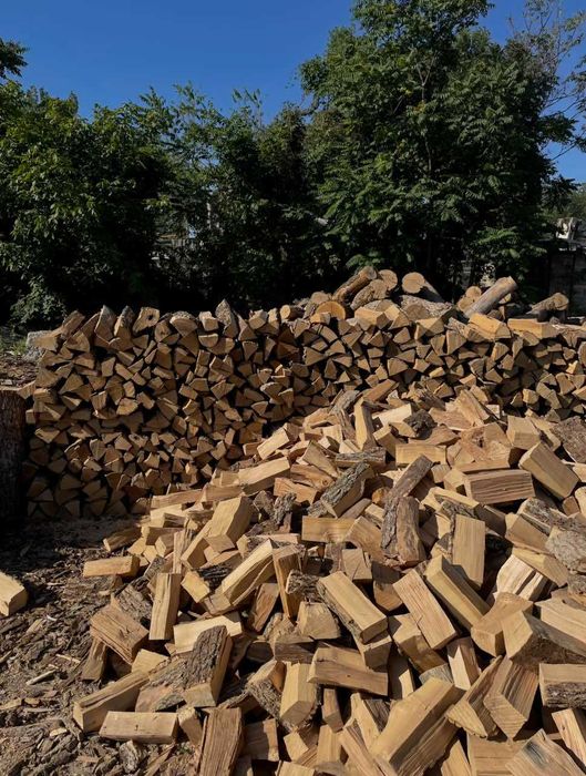 Дрова колоті та кругляк, метрові пиньки дубові, доставка