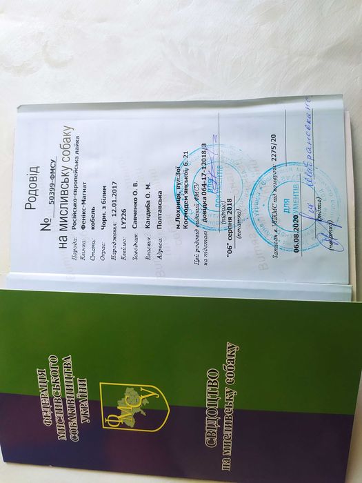 Продам цуценят породи РЄЛ від робочих дипломних собак з документами.