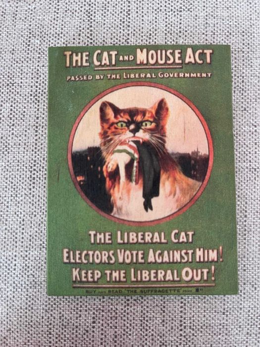 Íman Vintage "Votes for Women" | Gato e Rato Sufragistas