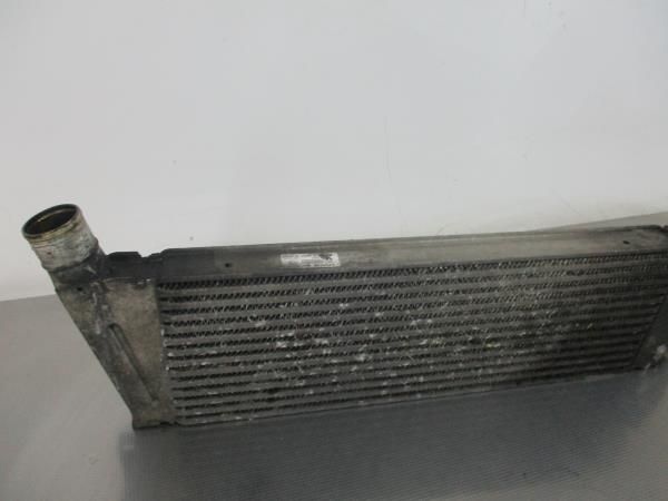 Radiador do intercooler RENAULT Scénic II (JM0/1_)