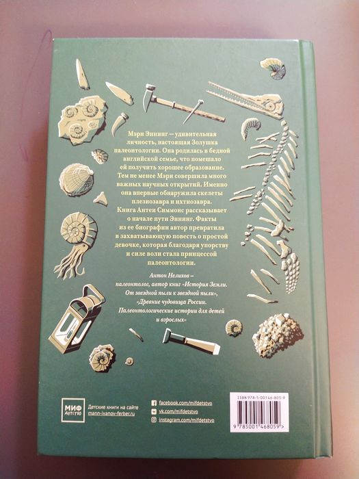 Молния. История Мэри Эннинг. МИФ. Новая livro
