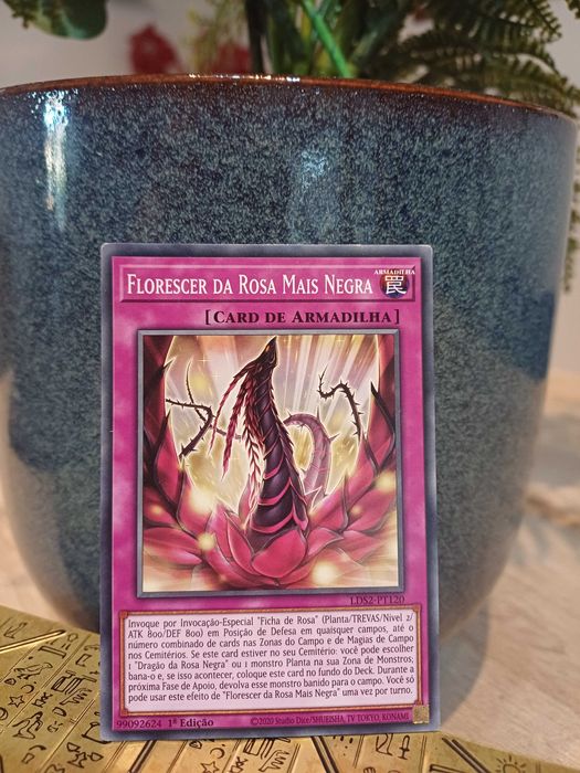 Carta Yu-Gi-Oh! - Florescer da Rosa Mais Negra - 1ª Edição