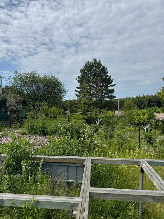 Підготовлена ділянка у Музичах: фундамент, вода, септік, світло, озеро