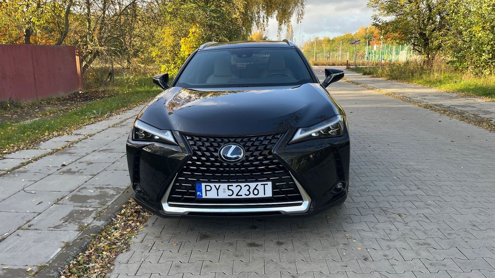 Lexus UX 250h