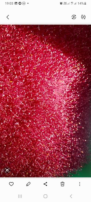 Горох, крес салат та ін.для дітей