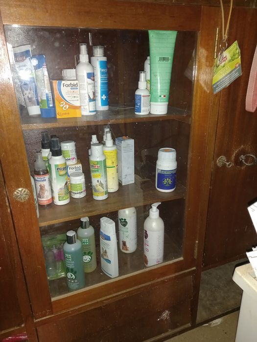 DESOCUPAR ( LER a descrição)Acessórios de animais