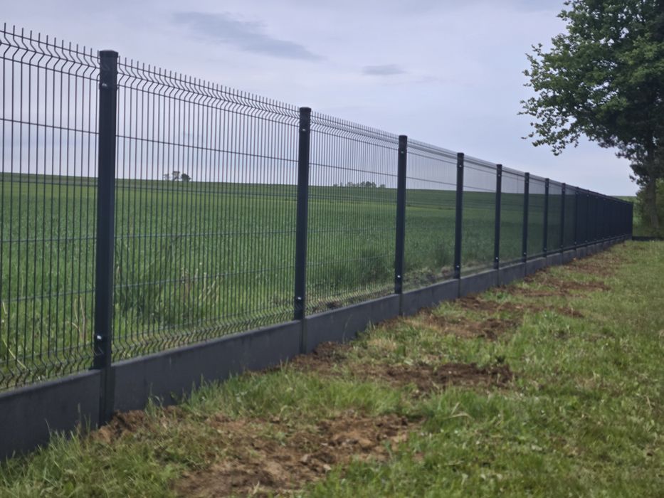 Ogrodzenie Panlowe 3D - Szybkie Terminy