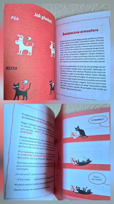 Wszystko o kotach 3 książki