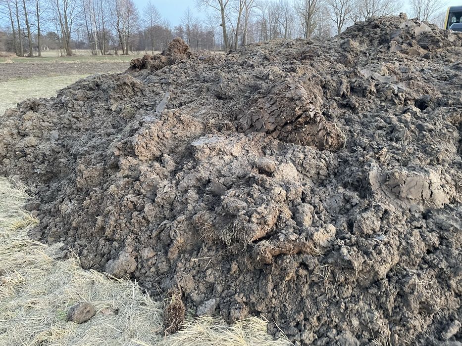 Oddam za darmo ziemie