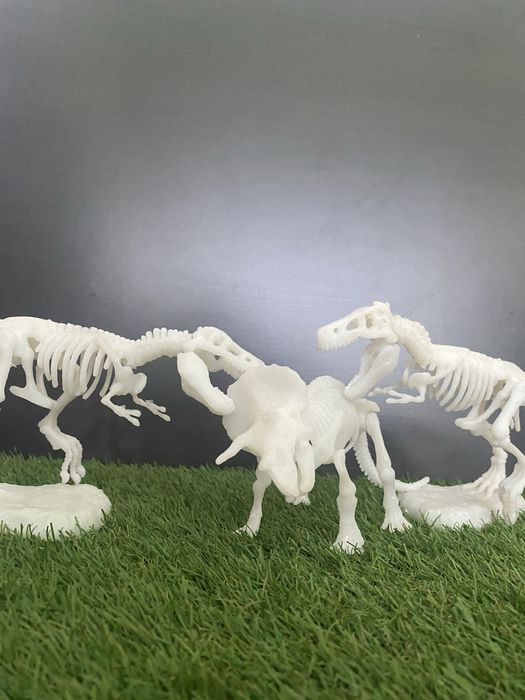 Dinossauros Esqueletos