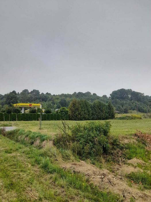 Stacja Paliw (powiat Zamojski)