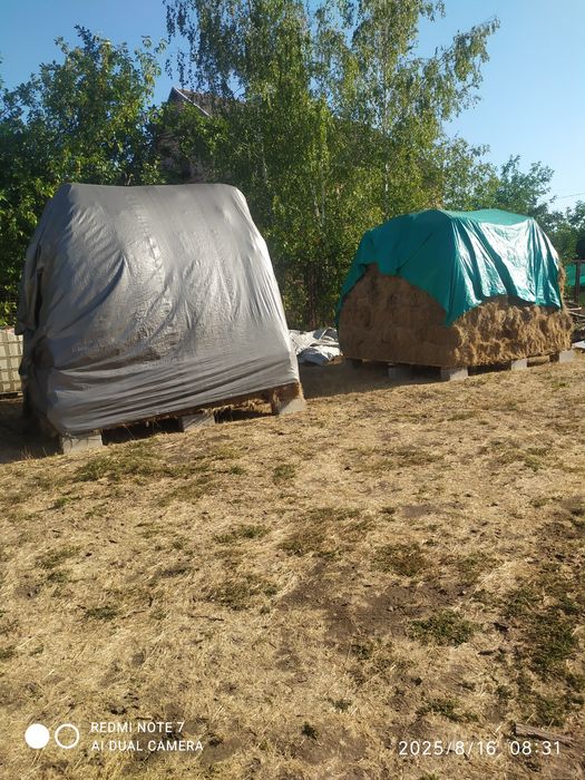 Продам сіно в тюках