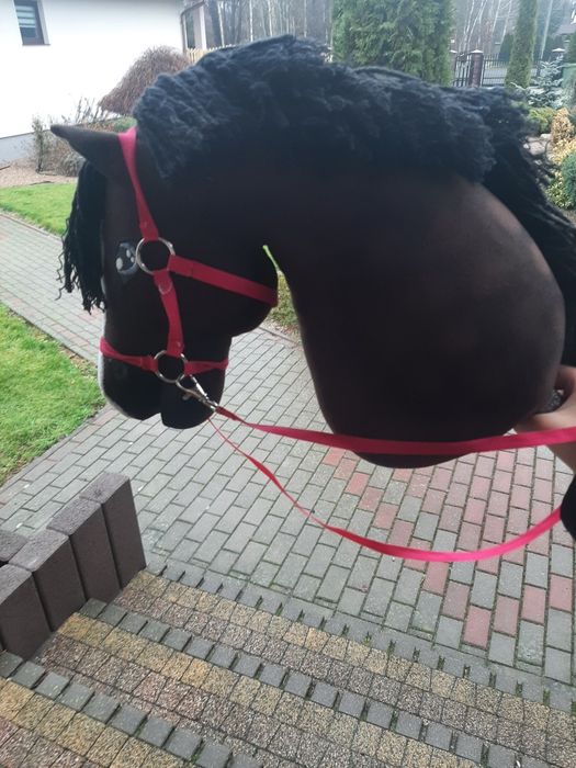 Hobby Horse Gniady