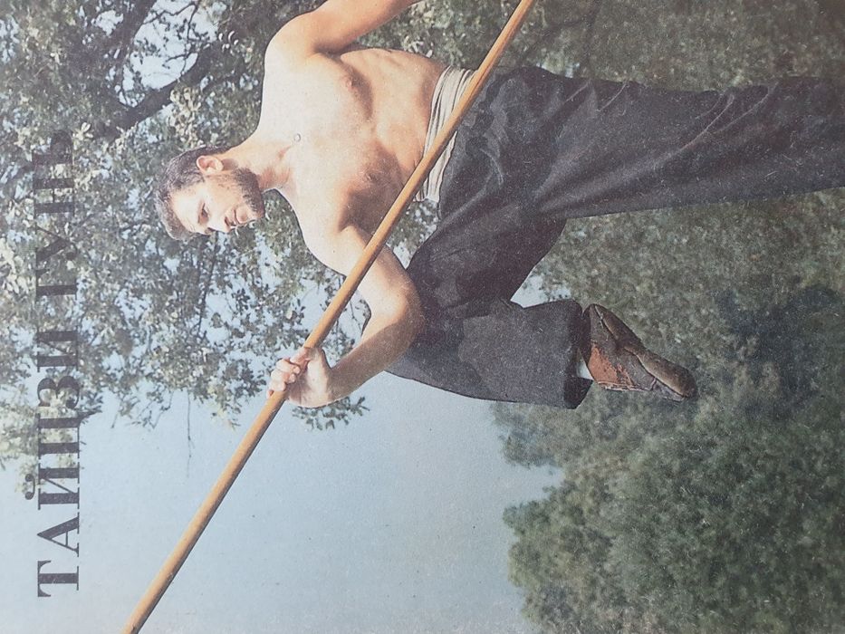 Тайцзы гунь. Прикладные движения с шестом школы Тайцзы.