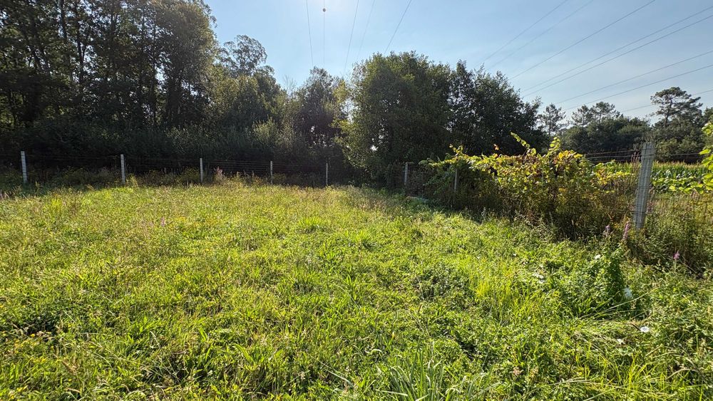 Terreno Rustico em Sandiães