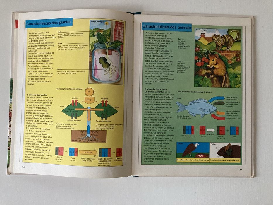 Livro Biologia – Plantas, Animais e Ecologia, de Ifor Evans (Anos 80)