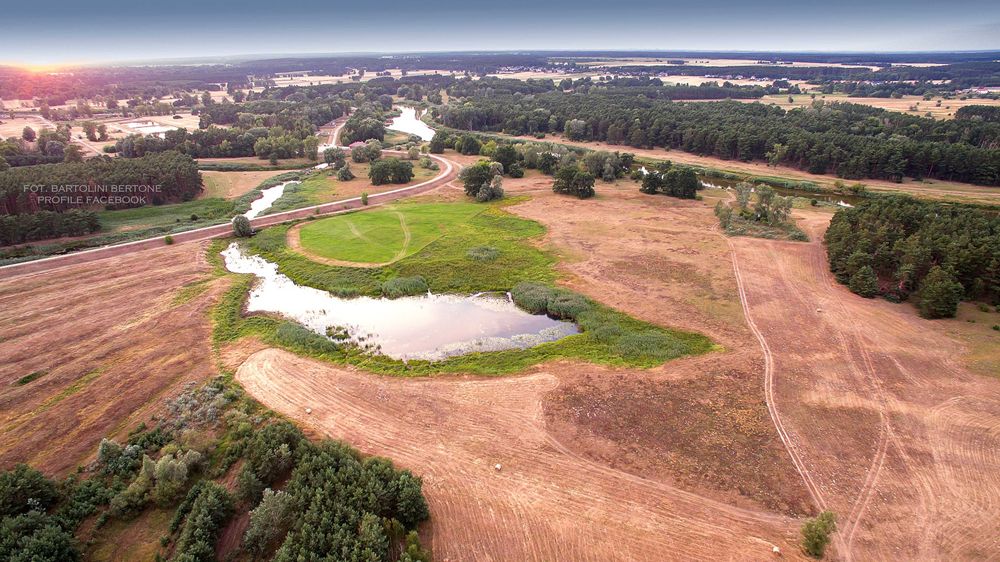 Sprzedam grunty rolne