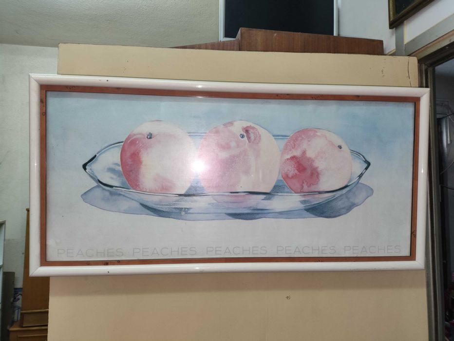 3 Quadros decorativos de Frutas 81 x 39 cm