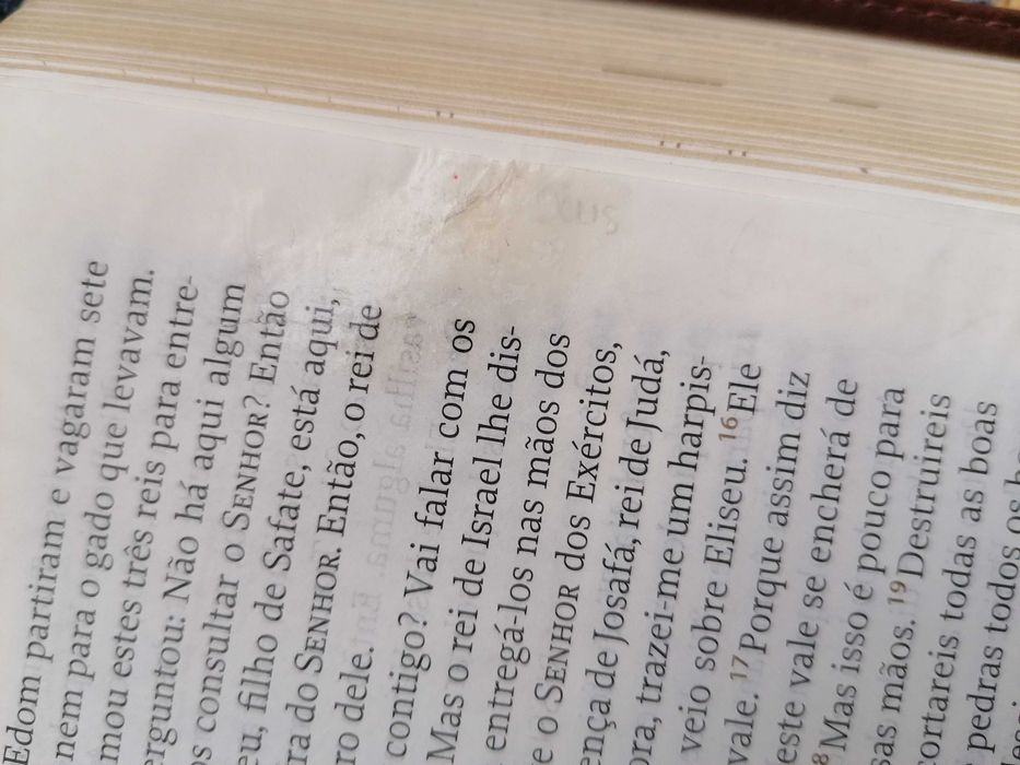 Bíblia - Purpose Book