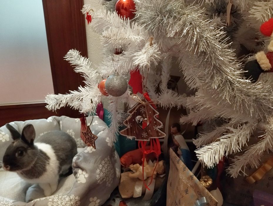 Árvore de Natal 180 cm branca