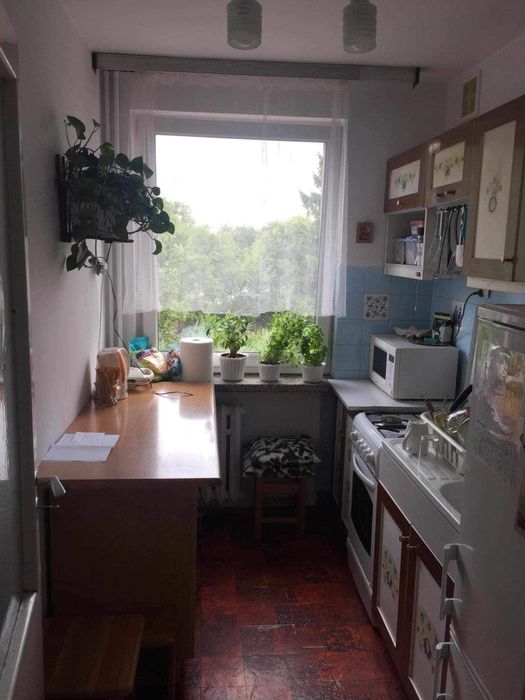 1-osobowy pokój blisko centrum