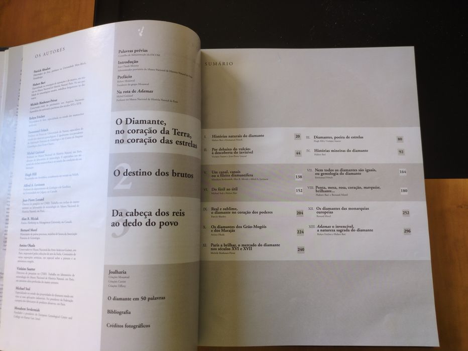 Diamantes direcção de Hubert Bari e Violaine Sautter