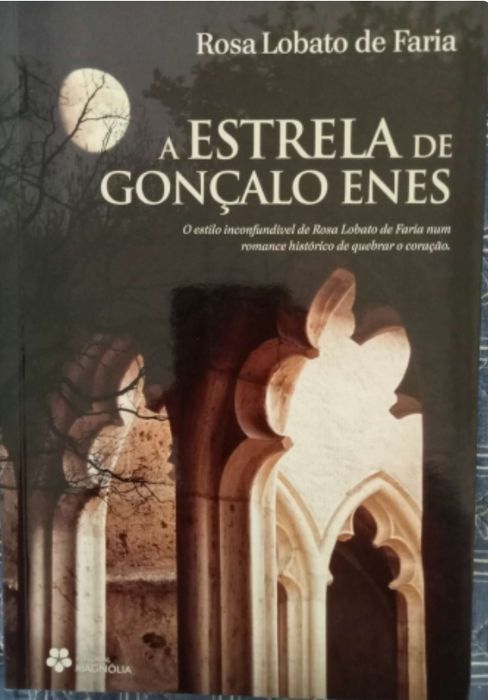 Literatura portuguesa - Livros usados