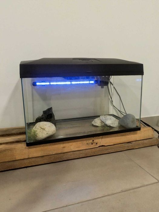 Aquário com base