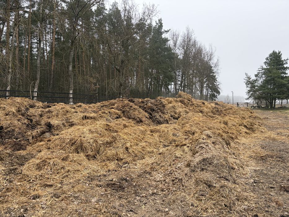 Obornik koński pryzmowany