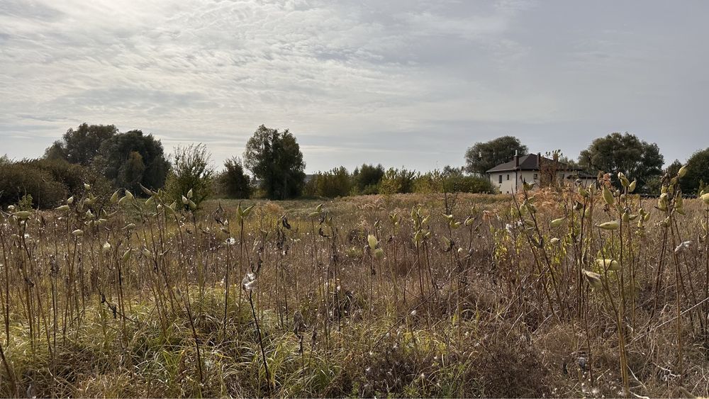 С. Білогородка , ділянки у Києво-Святошинський район.