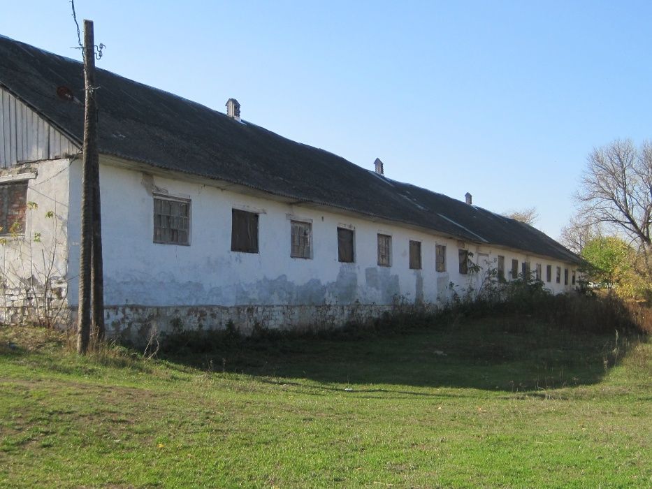Ферма 20 км від міста с. Цвіклівці 1 . Продаж.