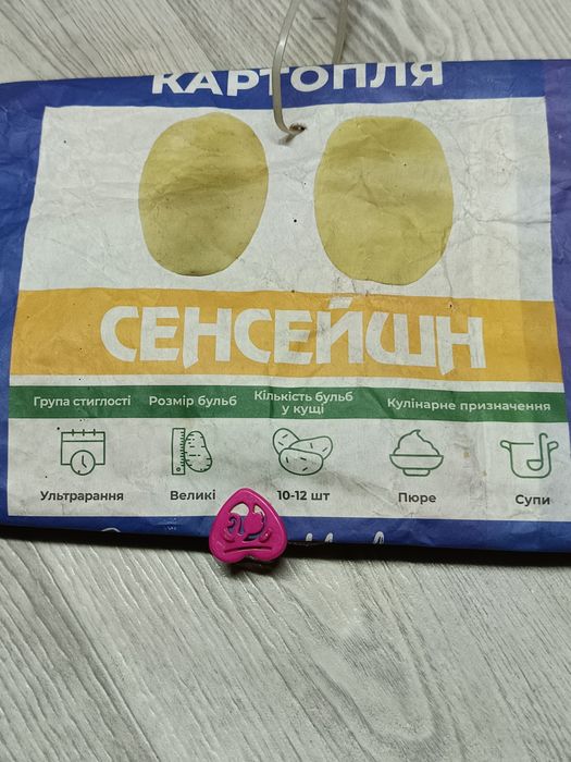 Продам картоплю Саншейшен гарний ультро ранній сорт є посадкова і. Кру