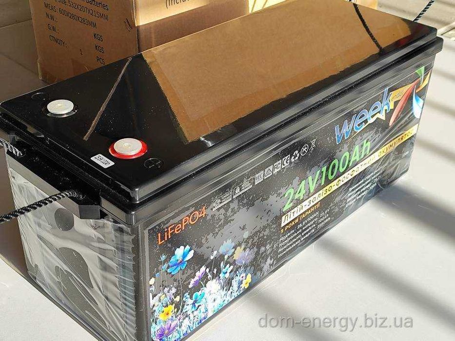Гарантия 2 года Аккумулятор LiFePo4 100Ah 24В v Литий-железо-фосфатный
